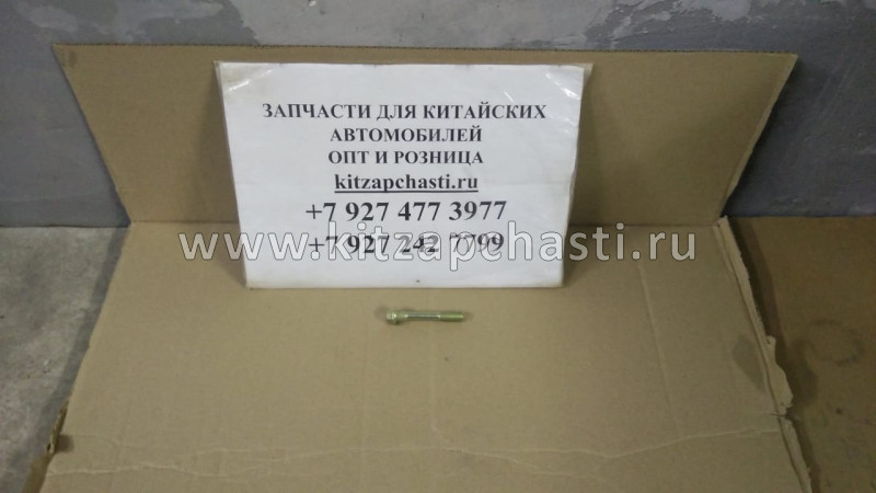 Болт крепления топливной форсунки Baw Fenix 33462 Евро 3 1112033-55D